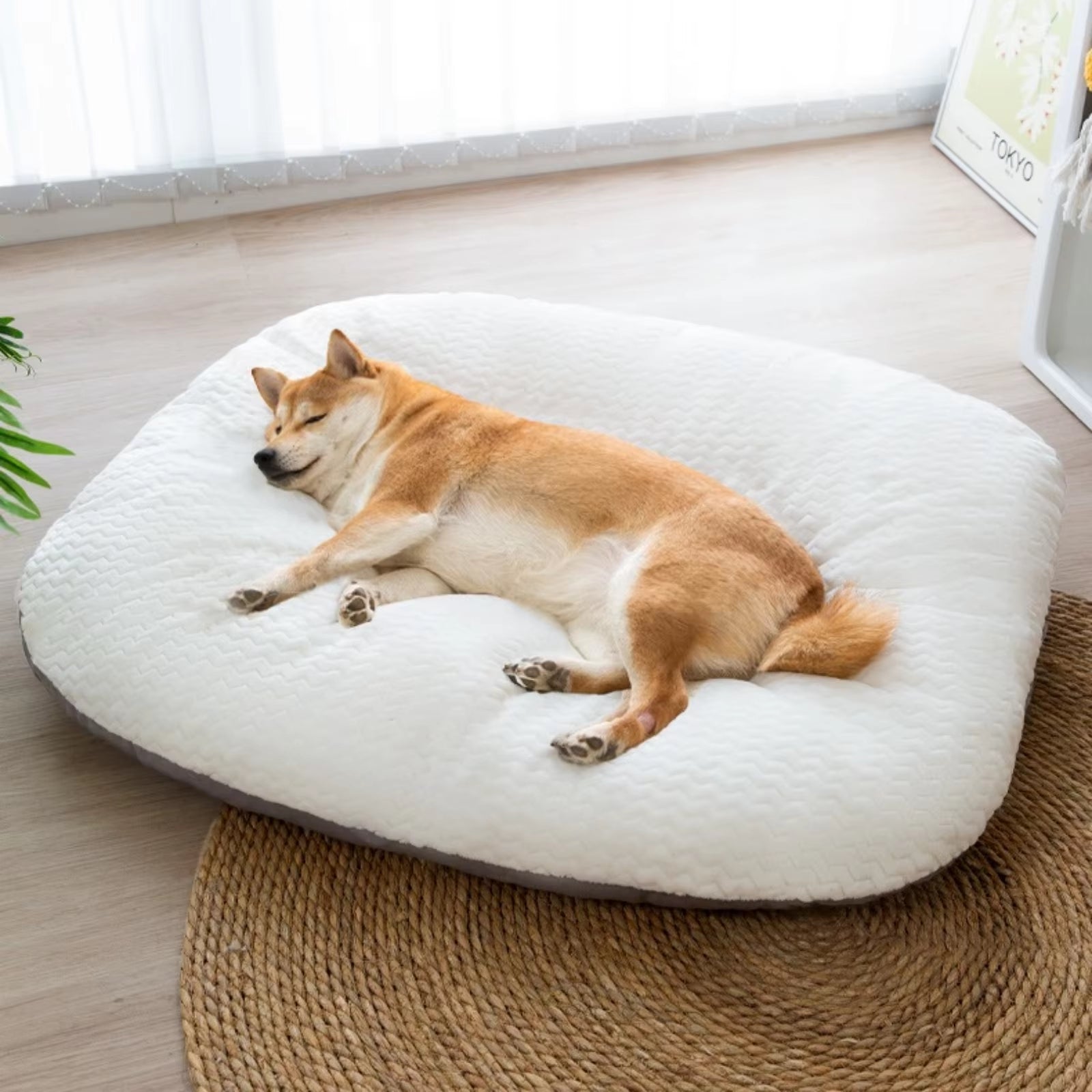 Large Dog Sofa Bed Warm Pet Nest Kennel for Medium Large Dog Cat Bed Thicken Soft Cushion Removable Washable Dog Sleeping Mat