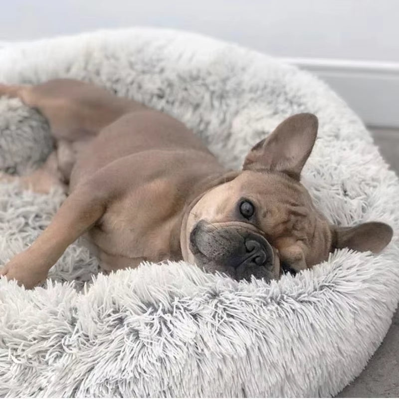 Pet Dog Bed for Dog Large Big Small for Cat House round Plush Mat Sofa Dropshipping Products Pet Calming Bed Dog Donut Bed